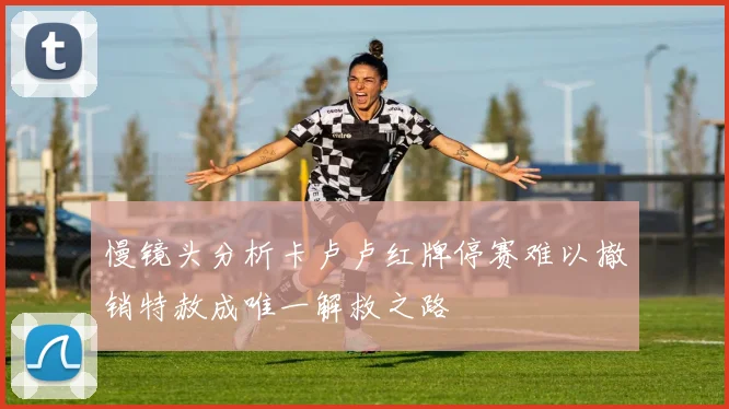 慢镜头分析卡卢卢红牌停赛难以撤销特赦成唯一解救之路