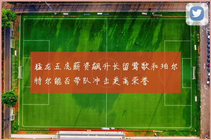 猛龙五虎薪资飙升长留莺歌和珀尔特尔能否带队冲击更高荣誉